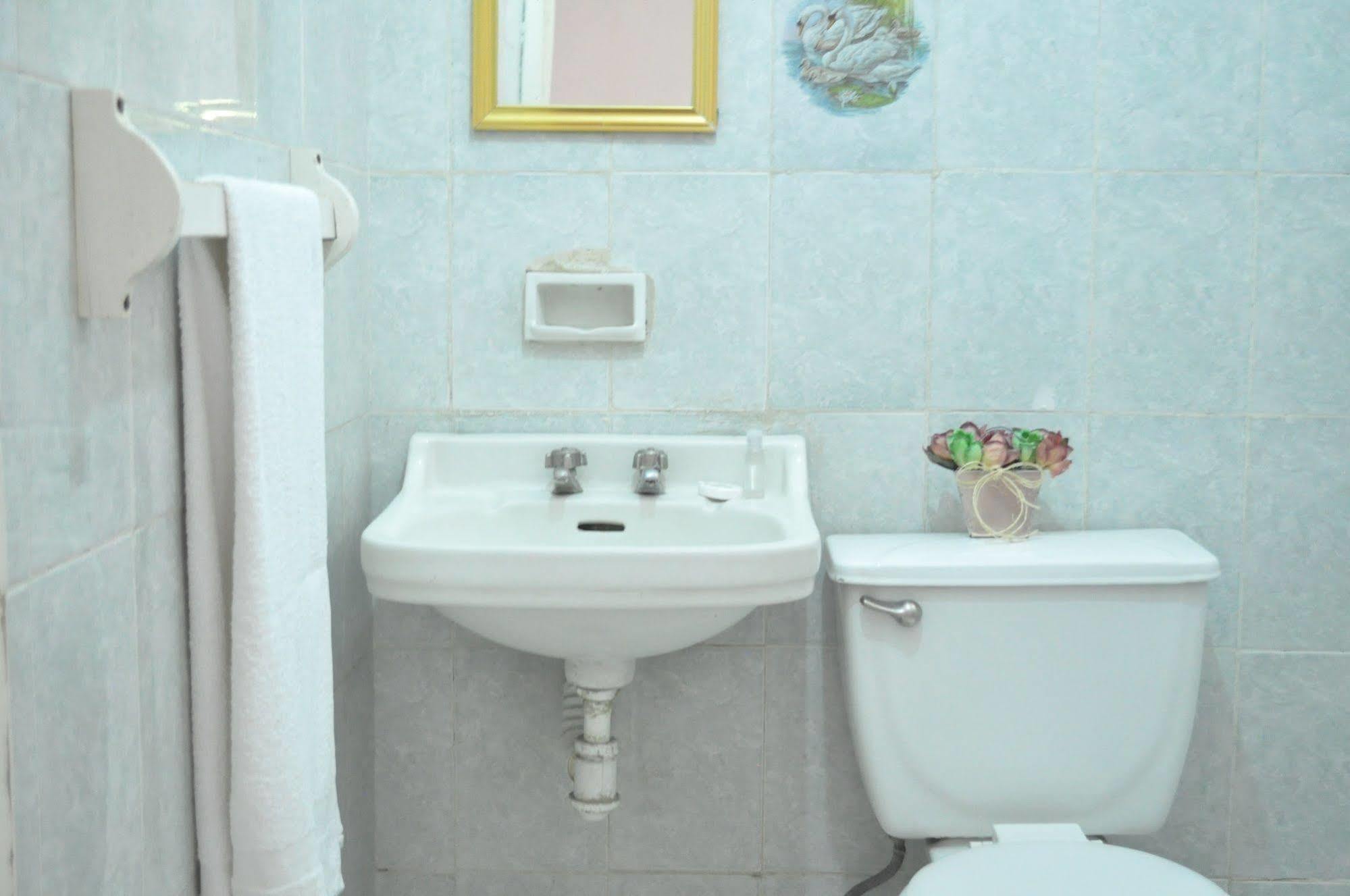 איראפואטו Hotel San Carlos מראה חיצוני תמונה